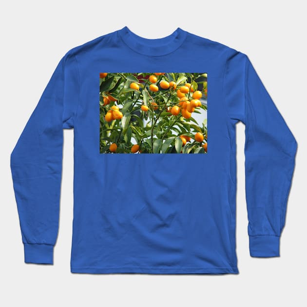 Kumquat tree Long Sleeve T-Shirt by FriendlyComputerHelp